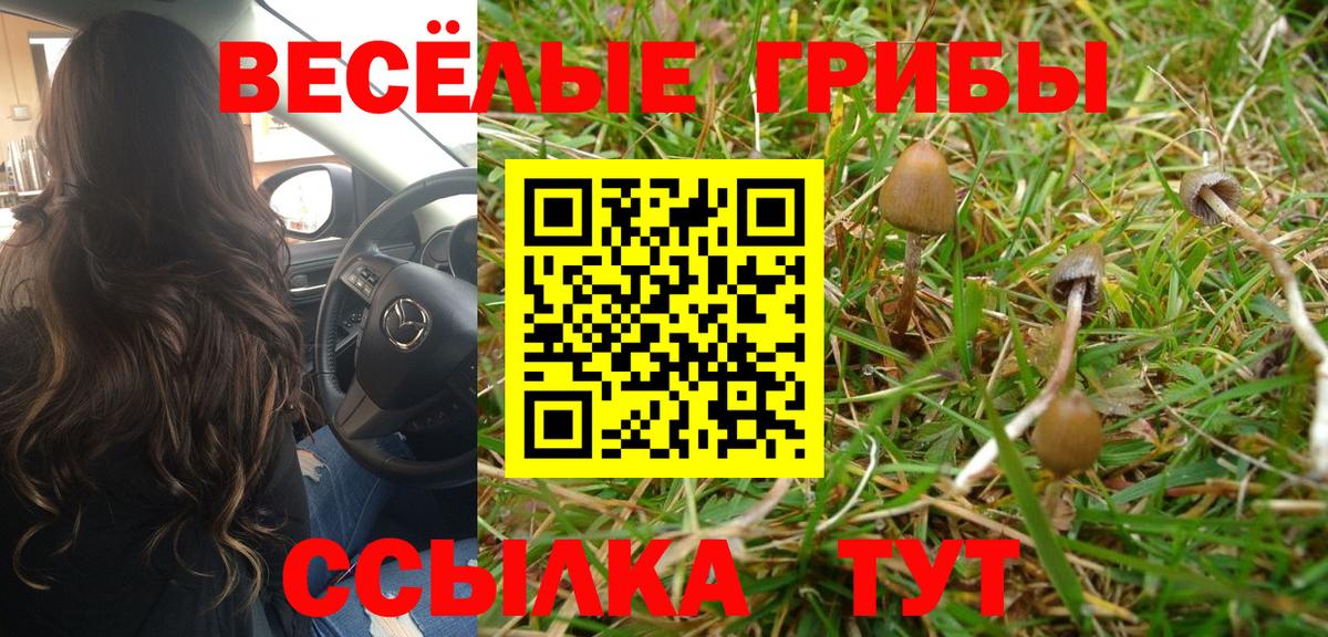 COCAIN Таганрог