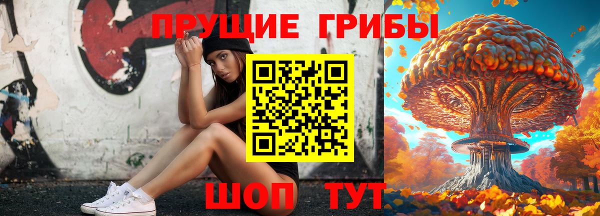 Галлюциногенные грибы GOLDEN TEACHER Таганрог