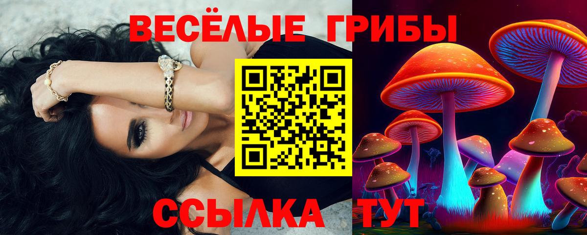 Псилоцибиновые грибы ЛСД  Вход с VPN  Таганрог 